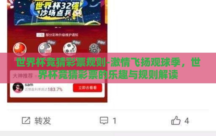世界杯竞猜彩票规则-激情飞扬观球季,世界杯竞猜彩票的乐趣与规则解读 世界杯竞猜彩票规则-激情飞扬观球季,世界杯竞猜彩票的乐趣与规则解读