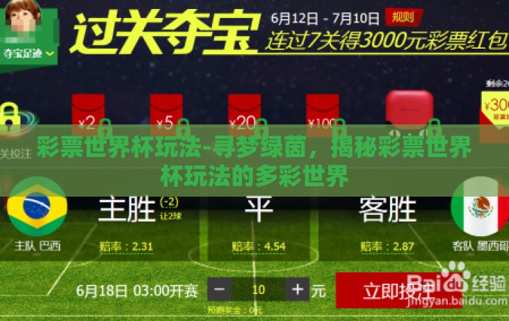 彩票世界杯玩法-寻梦绿茵，揭秘彩票世界杯玩法的多彩世界