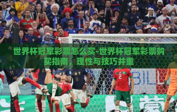 世界杯冠军彩票怎么买-世界杯冠军彩票购买指南,理性与技巧并重 世界杯冠军彩票怎么买-世界杯冠军彩票购买指南,理性与技巧并重
