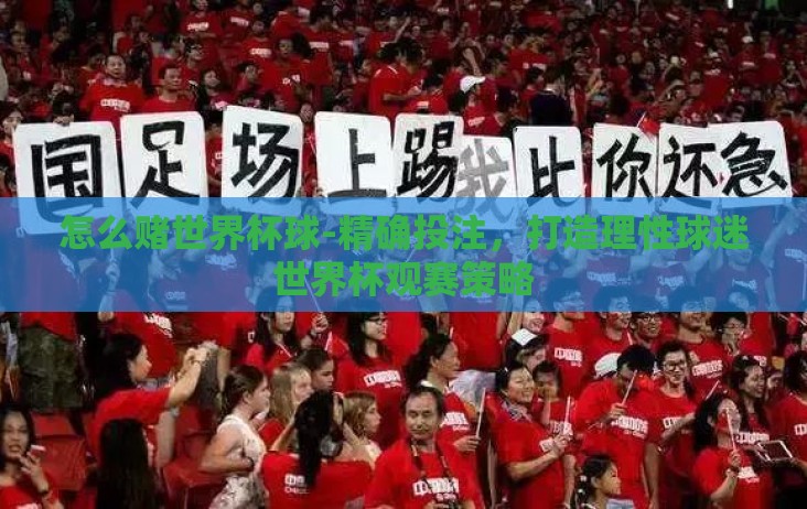 怎么赌世界杯球-精确投注,打造理性球迷世界杯观赛策略 怎么赌世界杯球-精确投注,打造理性球迷世界杯观赛策略