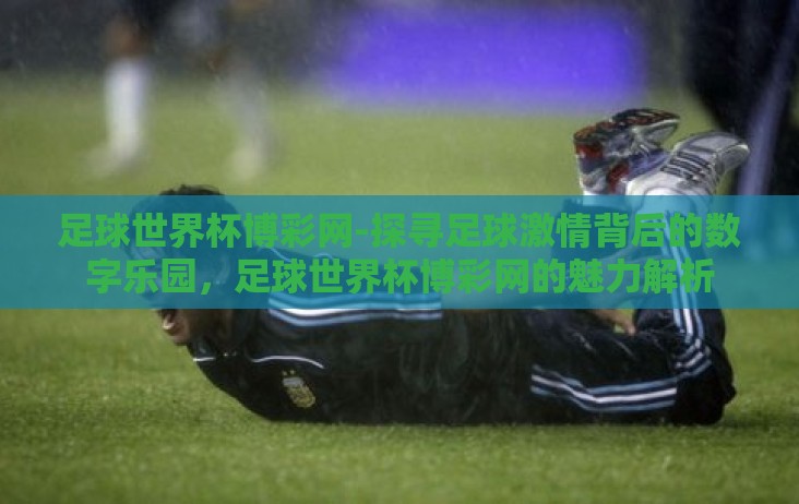 足球世界杯博彩网-探寻足球激情背后的数字乐园，足球世界杯博彩网的魅力解析