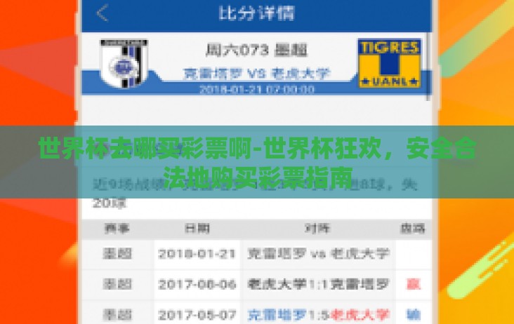 世界杯去哪买彩票啊-世界杯狂欢，安全合法地购买彩票指南