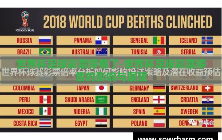 世界杯足球彩票停售了-世界杯足球彩票停售的影响与展望 世界杯足球彩票停售了-世界杯足球彩票停售的影响与展望