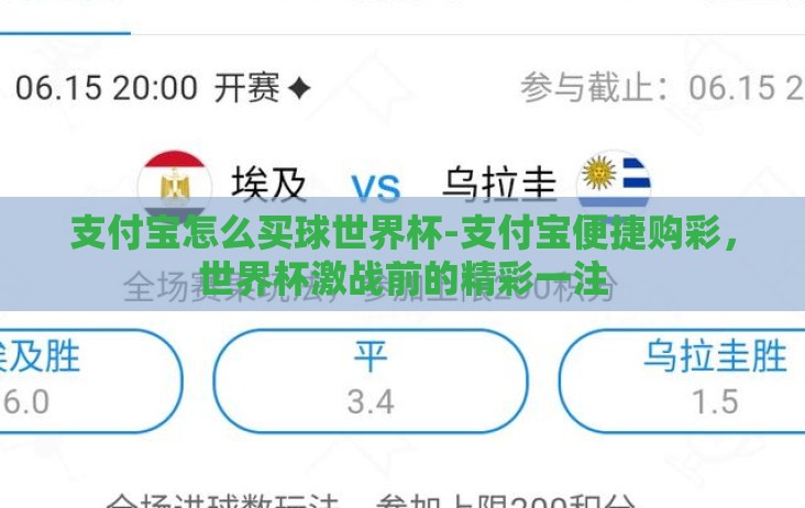 支付宝怎么买球世界杯-支付宝便捷购彩，世界杯激战前的精彩一注