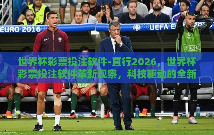 世界杯彩票投注软件-直行2026,世界杯彩票投注软件革新观察,科技驱动的全新娱乐体验 世界杯彩票投注软件-直行2026,世界杯彩票投注软件革新观察,科技驱动的全新娱乐体验