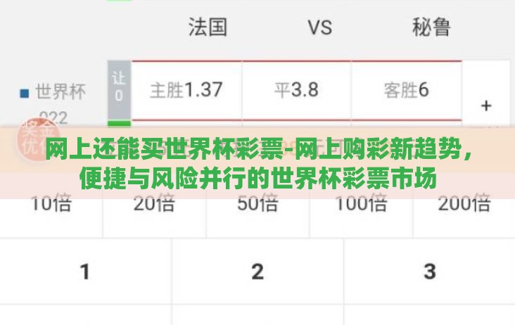 网上还能买世界杯彩票-网上购彩新趋势，便捷与风险并行的世界杯彩票市场