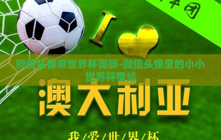 微信头像带世界杯国旗-微信头像里的小小世界杯情结 微信头像带世界杯国旗-微信头像里的小小世界杯情结