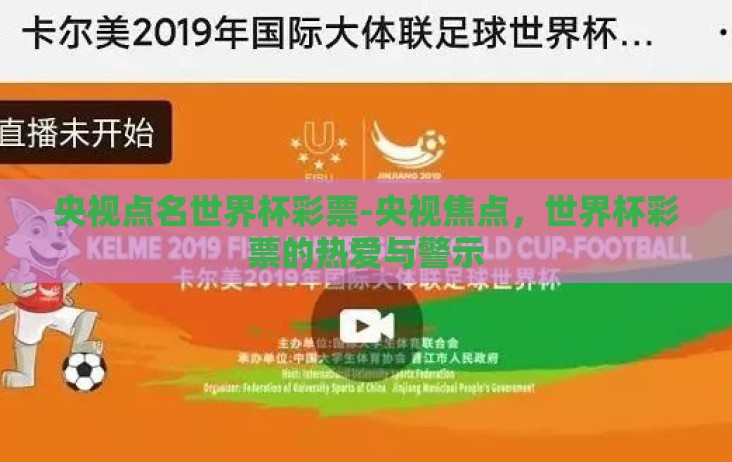 央视点名世界杯彩票-央视焦点，世界杯彩票的热爱与警示
