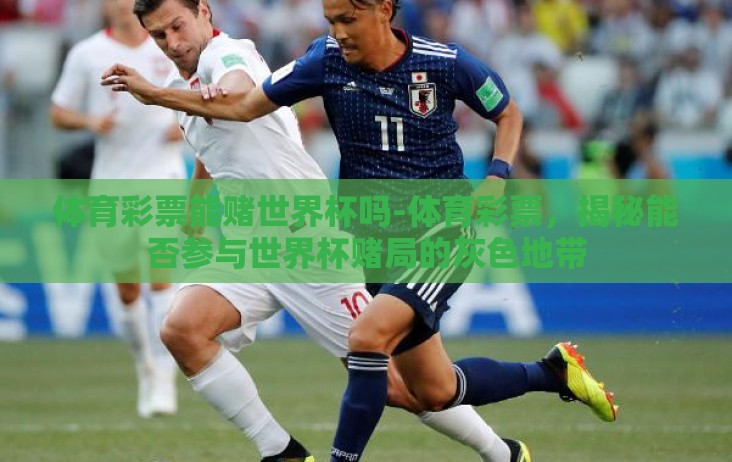 体育彩票能赌世界杯吗-体育彩票,揭秘能否参与世界杯赌局的灰色地带 体育彩票能赌世界杯吗-体育彩票,揭秘能否参与世界杯赌局的灰色地带