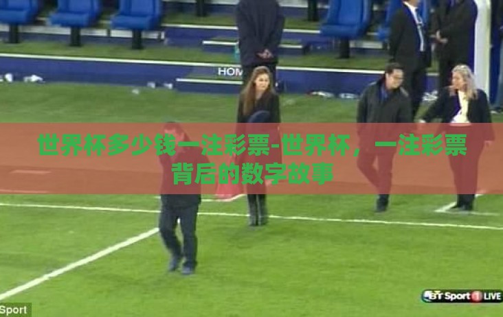 世界杯多少钱一注彩票-世界杯，一注彩票背后的数字故事