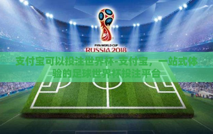 支付宝可以投注世界杯-支付宝,一站式体验的足球世界杯投注平台 支付宝可以投注世界杯-支付宝,一站式体验的足球世界杯投注平台
