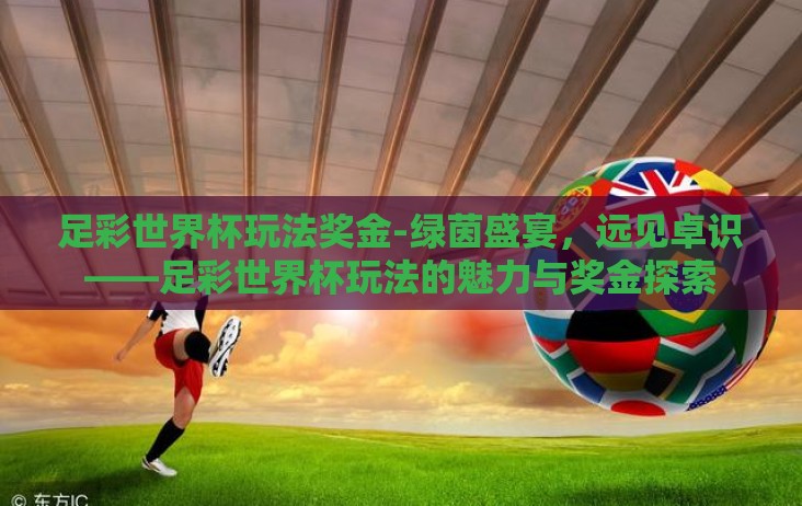 足彩世界杯玩法奖金-绿茵盛宴,远见卓识——足彩世界杯玩法的魅力与奖金探索 足彩世界杯玩法奖金-绿茵盛宴,远见卓识——足彩世界杯玩法的魅力与奖金探索