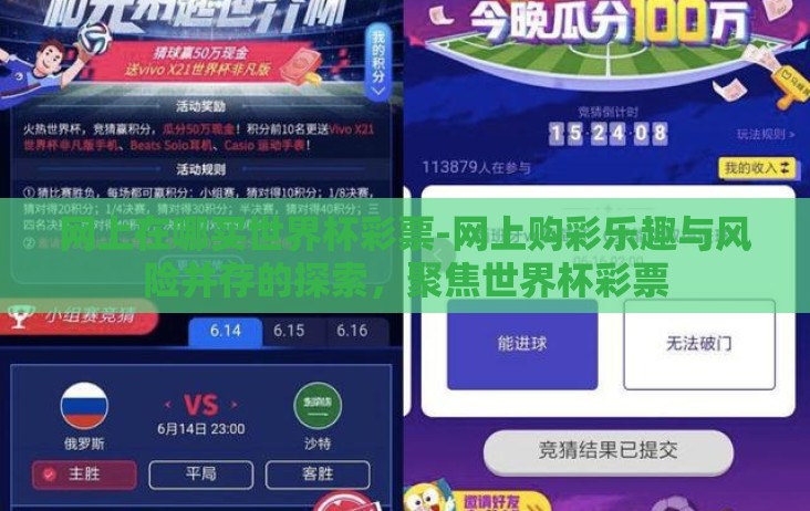网上在哪买世界杯彩票-网上购彩乐趣与风险并存的探索，聚焦世界杯彩票