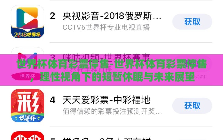世界杯体育彩票停售-世界杯体育彩票停售，理性视角下的短暂休眠与未来展望