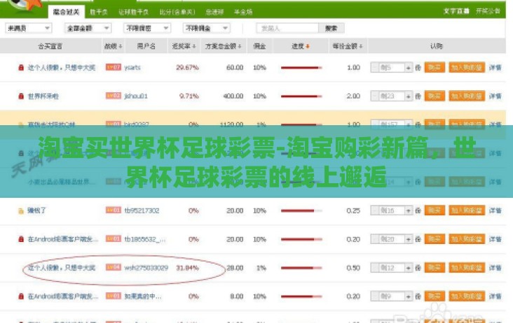 淘宝买世界杯足球彩票-淘宝购彩新篇，世界杯足球彩票的线上邂逅