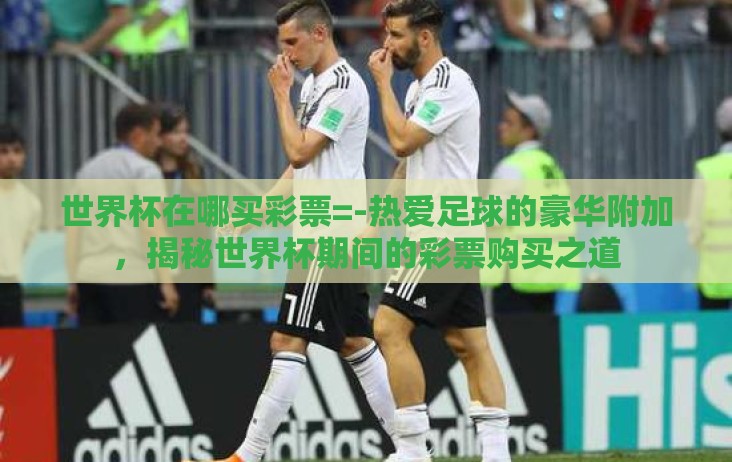 世界杯在哪买彩票=-热爱足球的豪华附加，揭秘世界杯期间的彩票购买之道