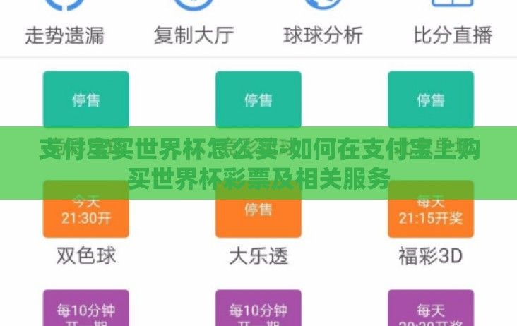 支付宝买世界杯怎么买-如何在支付宝上购买世界杯彩票及相关服务