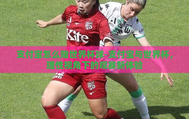 支付宝怎么赌世界杯球-支付宝与世界杯，理性视角下的观赛新体验