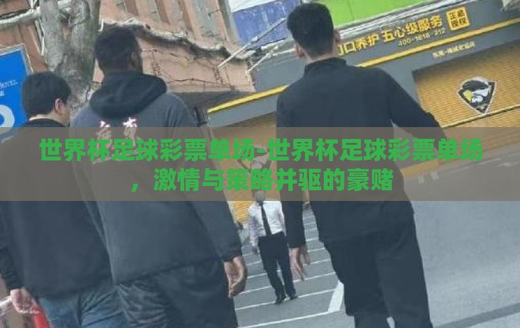 世界杯足球彩票单场-世界杯足球彩票单场，激情与策略并驱的豪赌