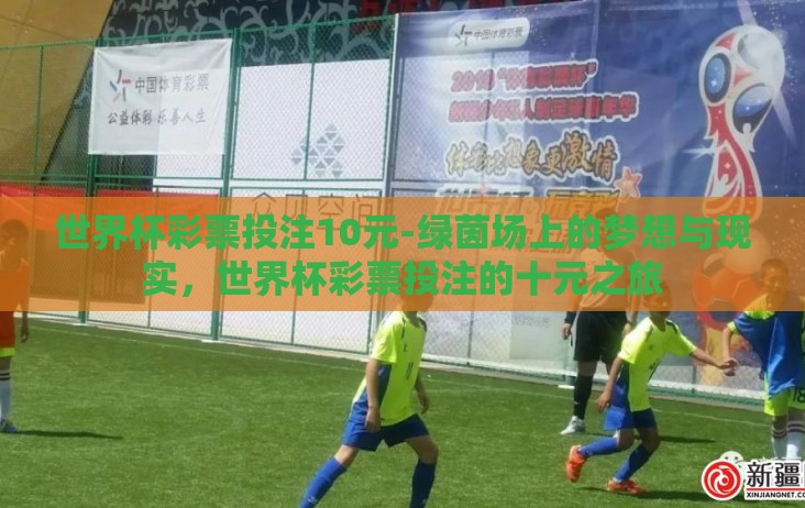 世界杯彩票投注10元-绿茵场上的梦想与现实，世界杯彩票投注的十元之旅