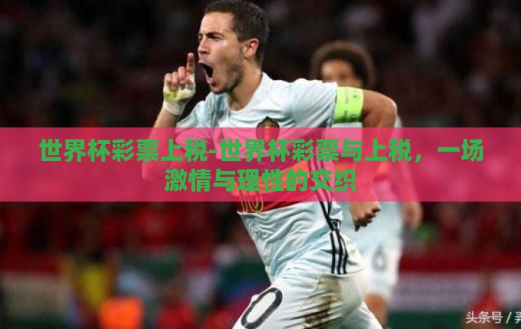 世界杯彩票上税-世界杯彩票与上税，一场激情与理性的交织