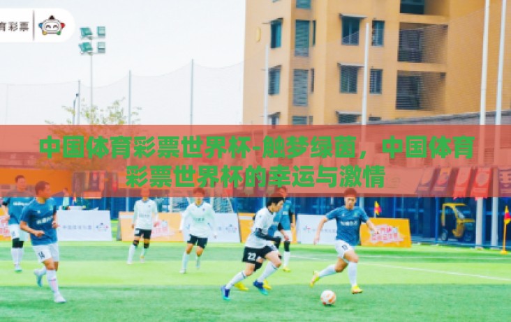 中国体育彩票世界杯-触梦绿茵，中国体育彩票世界杯的幸运与激情