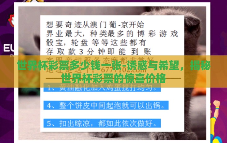 世界杯彩票多少钱一张-诱惑与希望，揭秘世界杯彩票的惊喜价格
