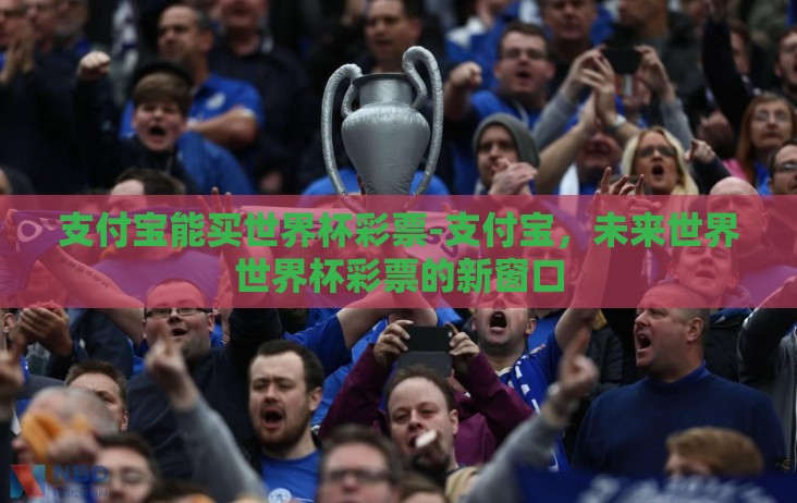 支付宝能买世界杯彩票-支付宝，未来世界世界杯彩票的新窗口