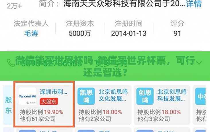 微信能买世界杯吗-微信买世界杯票，可行还是智选？